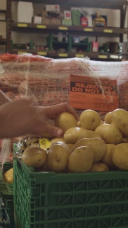 Vertical-Video-Showing-Interior-Of-UK-Food-Bank-Building-With-Fresh-Food-Being-Sorted-For-Delivery-